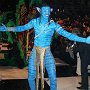 Brazilian Ball 2010